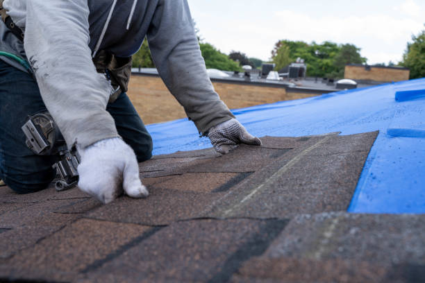 Best Roof Insulation Installation  in Joanna, SC